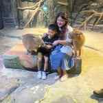 maylissa.chandrayani