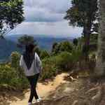 saila_1r