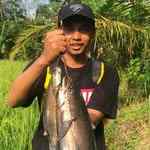 amanrayachannel