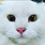 annisa_nabila96