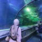 cindy_fuji_tania