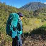 diahlina_id
