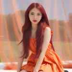 diaryll.lanisya