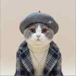 freyabritishcat