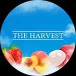 harvestcakes