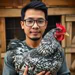 kandang.berempat