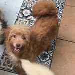kuramathedoodle