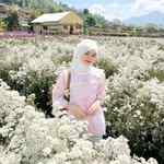 listyseptia