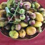 petani_bule_indry_metsers