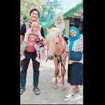 ramadinafams_