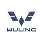 wulingev_id