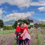zelikaaprastica