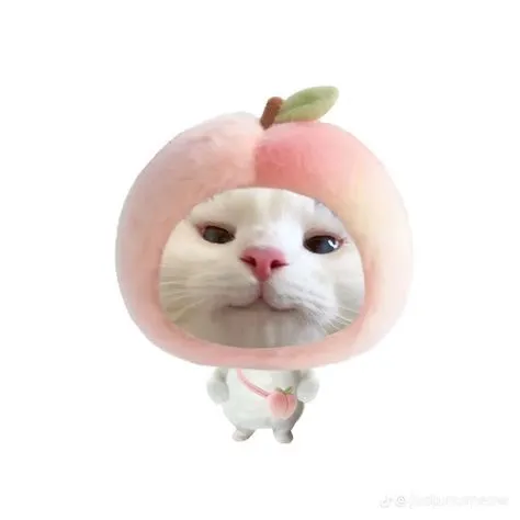 _haloayas