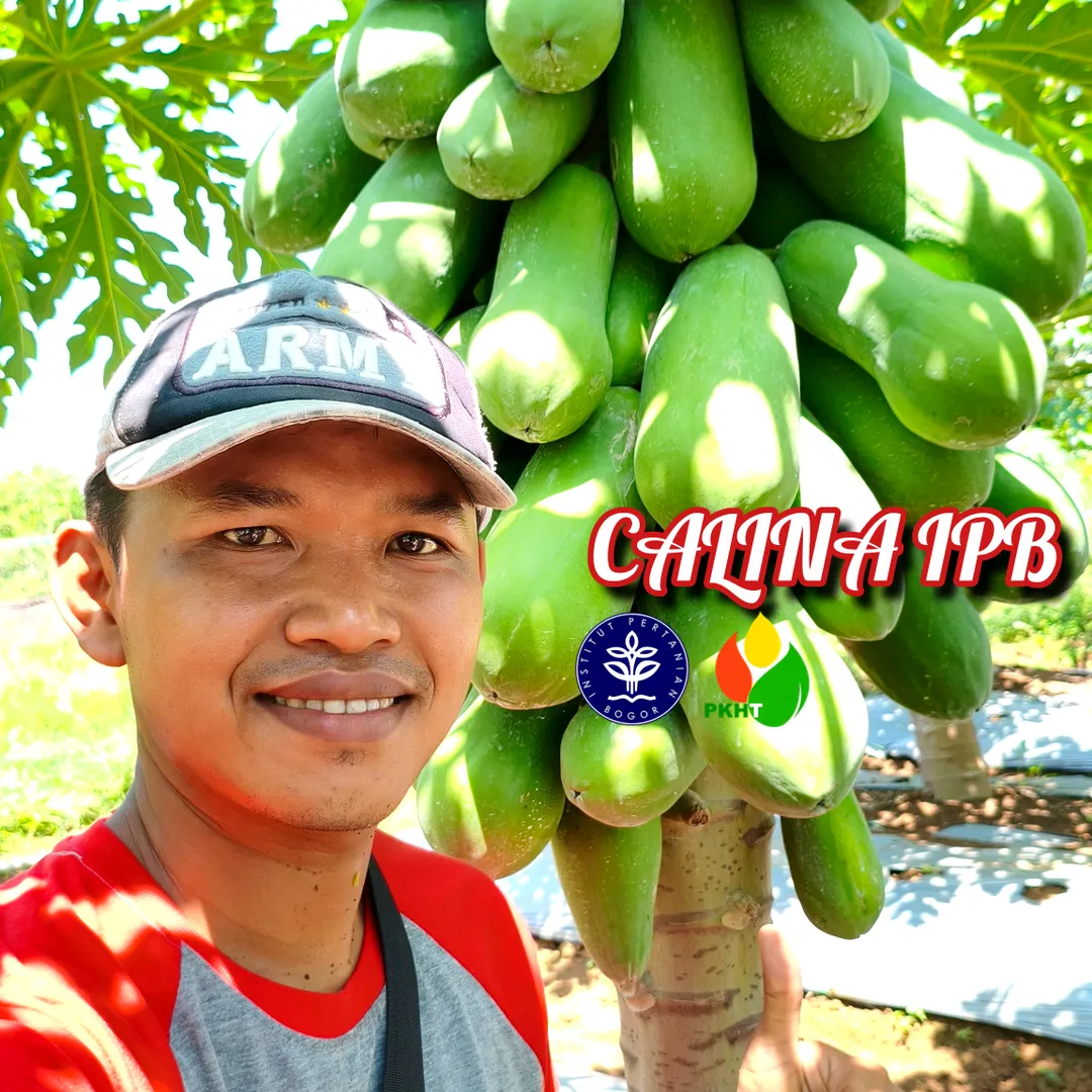 adpetaniindonesia
