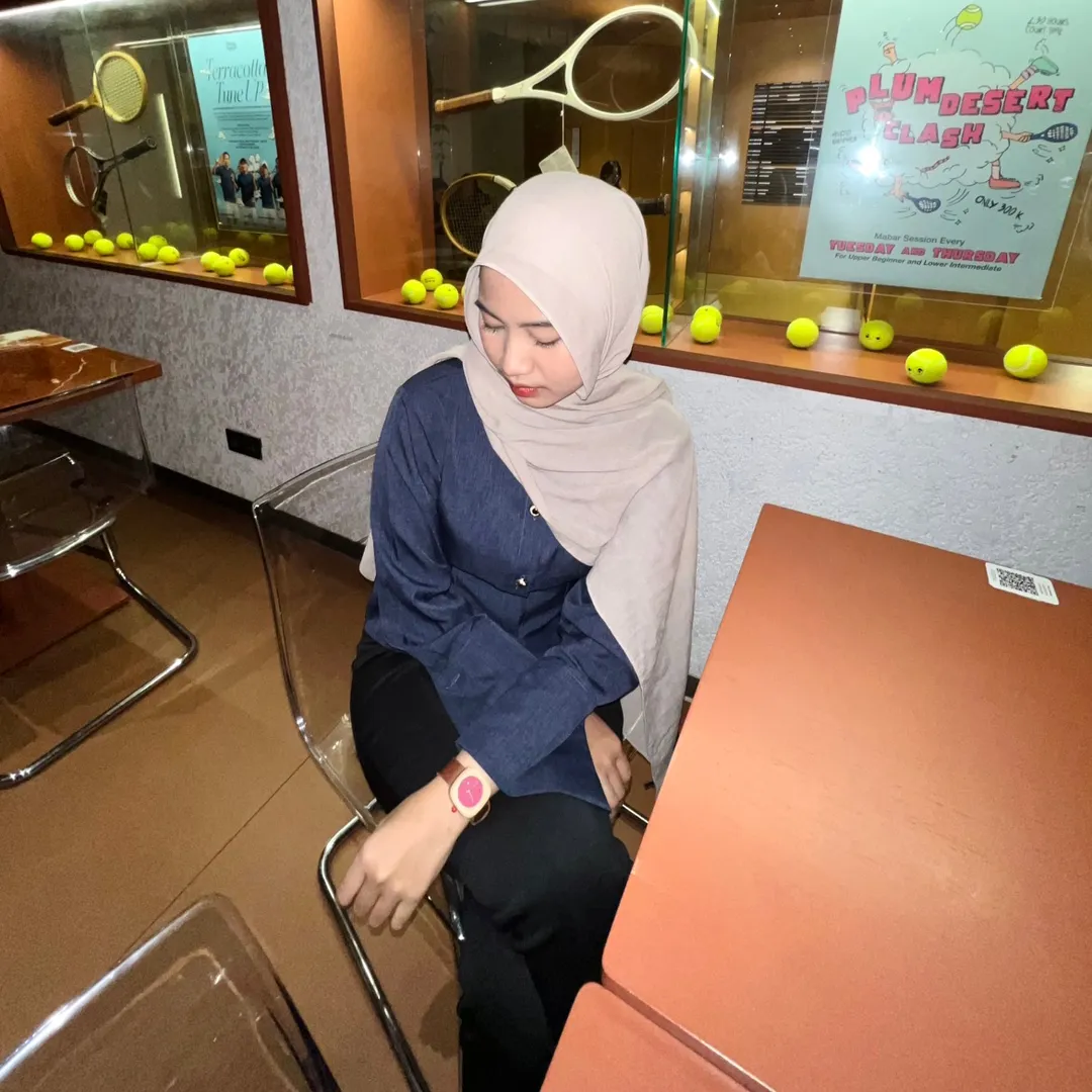 audina.ar