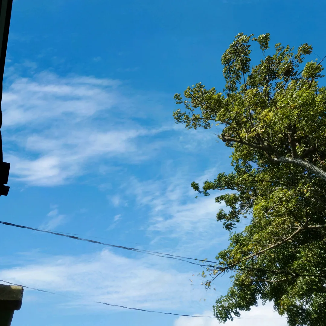 ayuniprihatini08