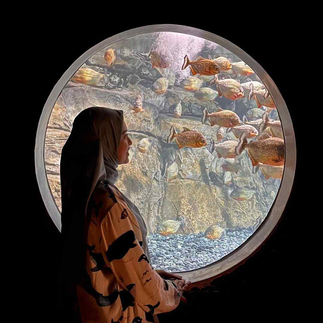 byfathiyya