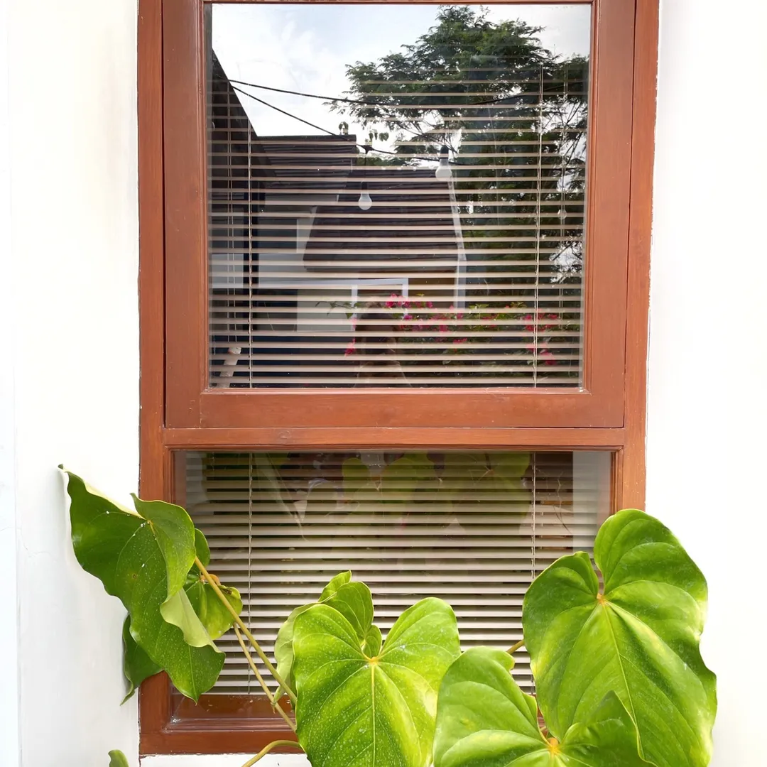 casadebuana19