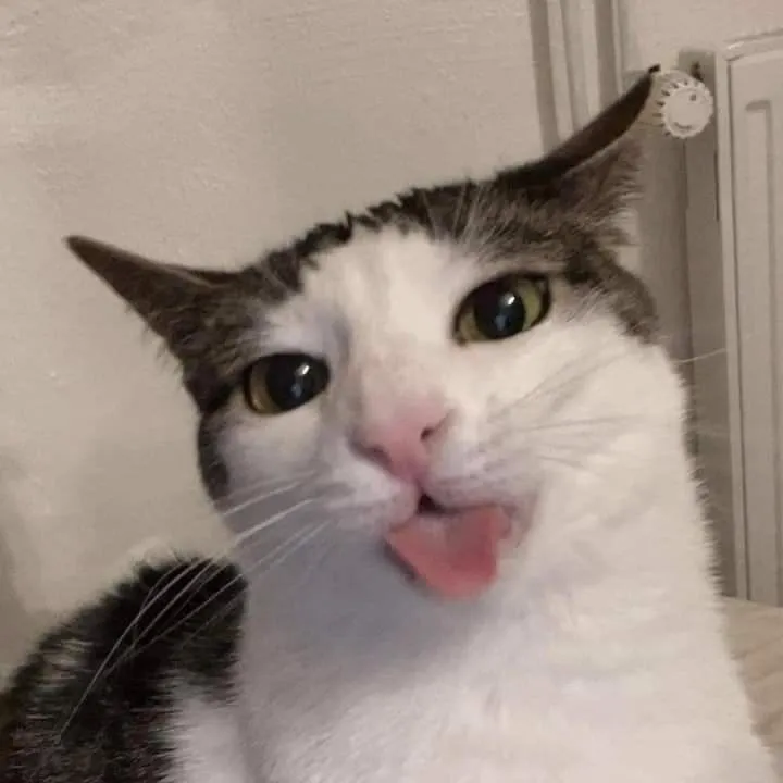 celecttrav