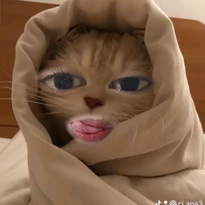 ci_ana3