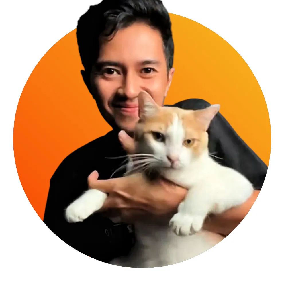 domdomcat.25