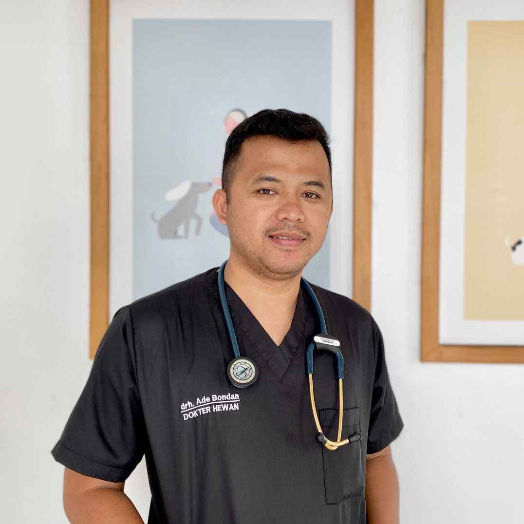 drh.adebondan