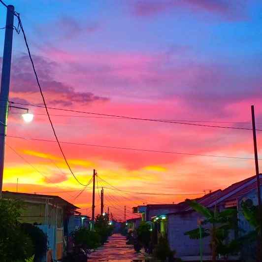 elynaayurosita