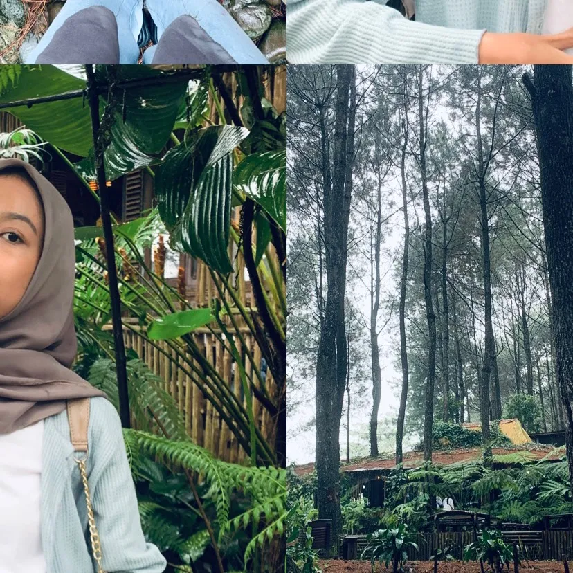 eviiiy_