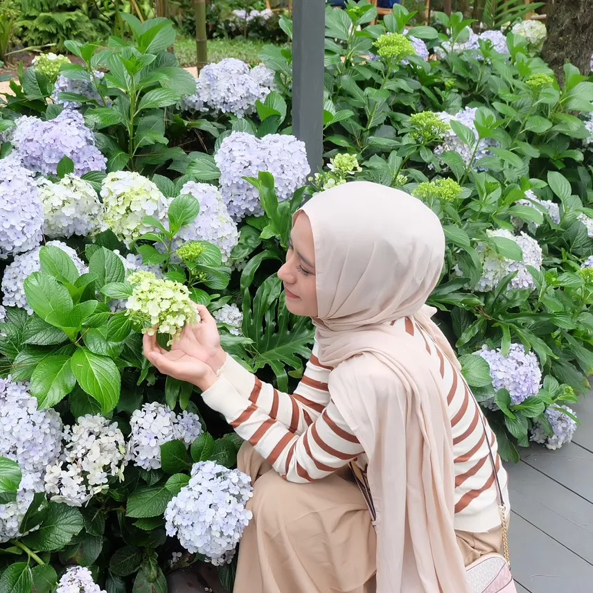 flower.iszah