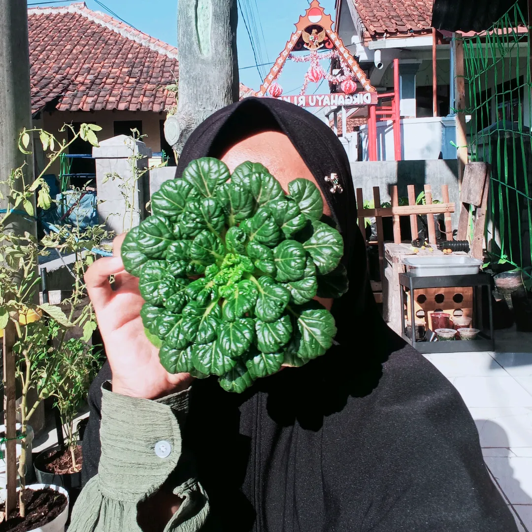ibunyahilmanhasbi_