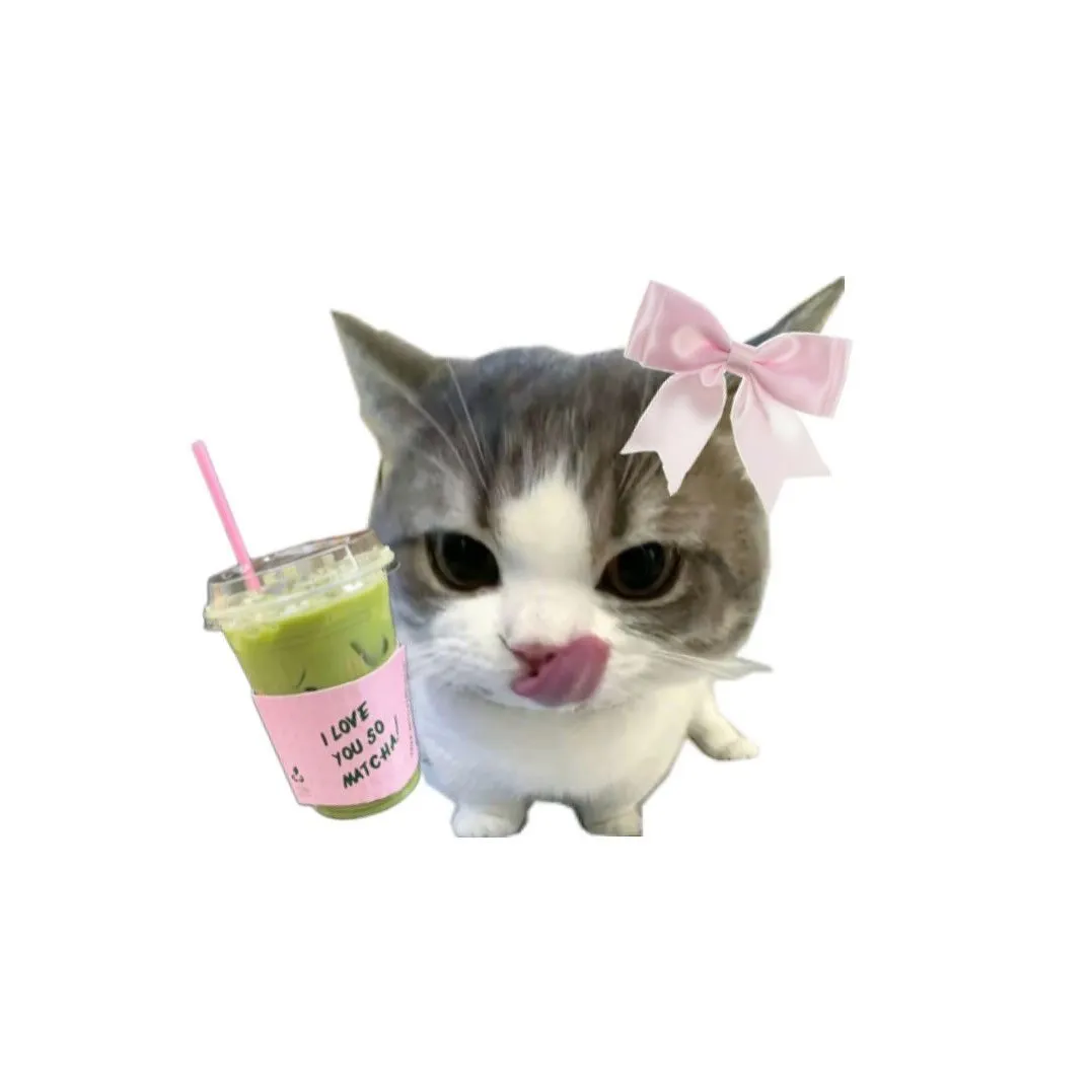 icebearmacchiato