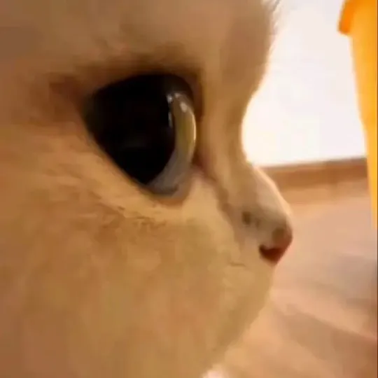 kekemelinda
