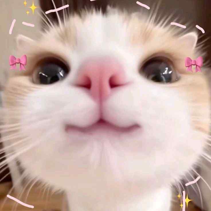 kimiiiii23