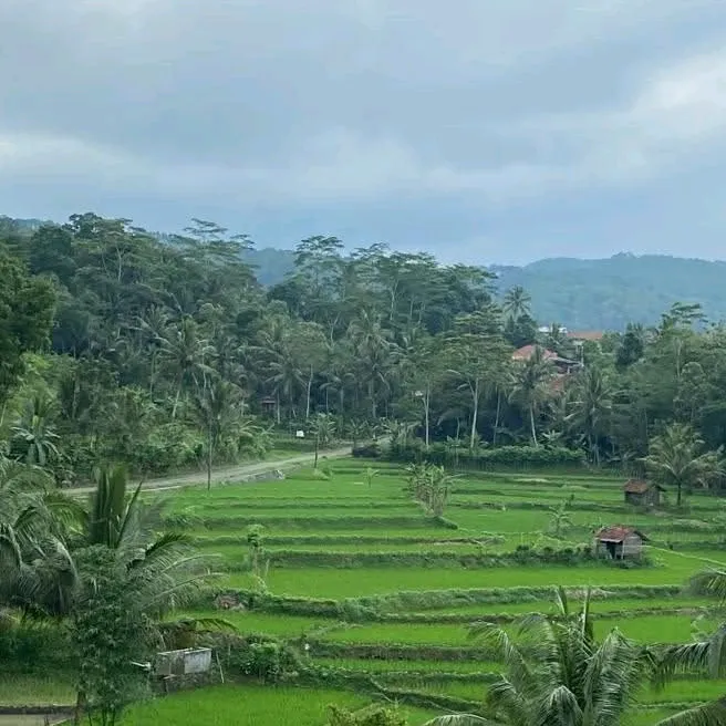 liafitriyani0810