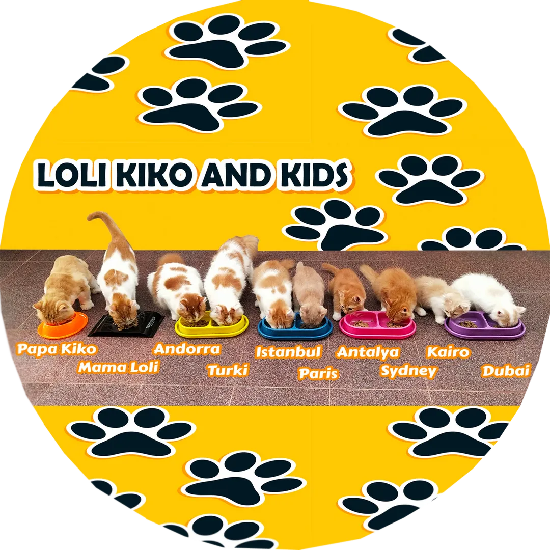 lolikikoandkids