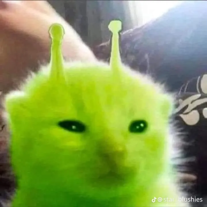 maniacstey