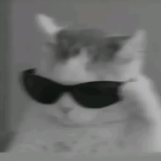 mel_mel8