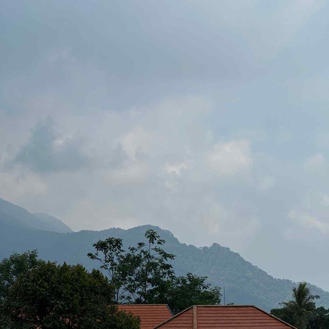 menjadikepompong