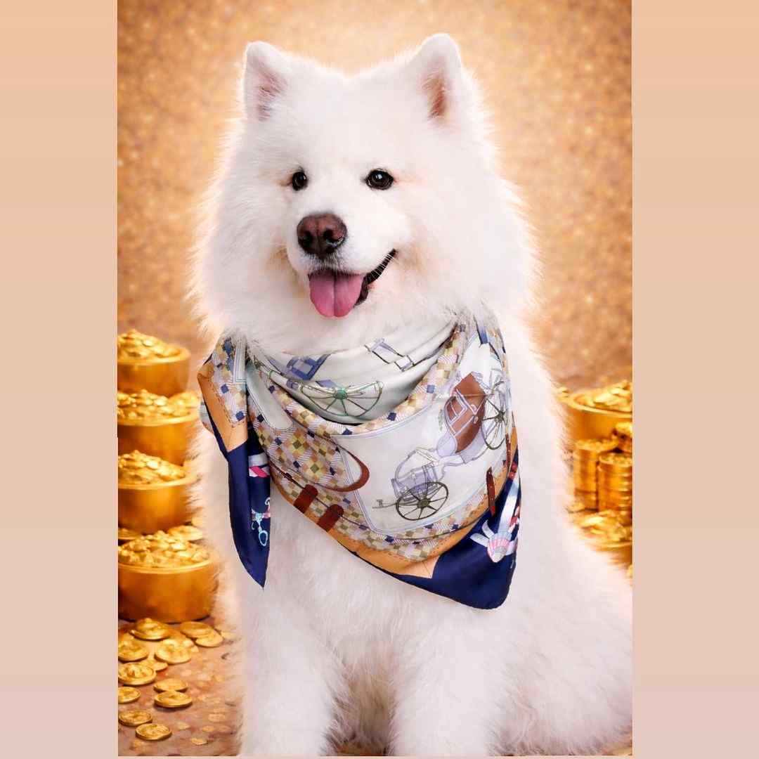 michio.star