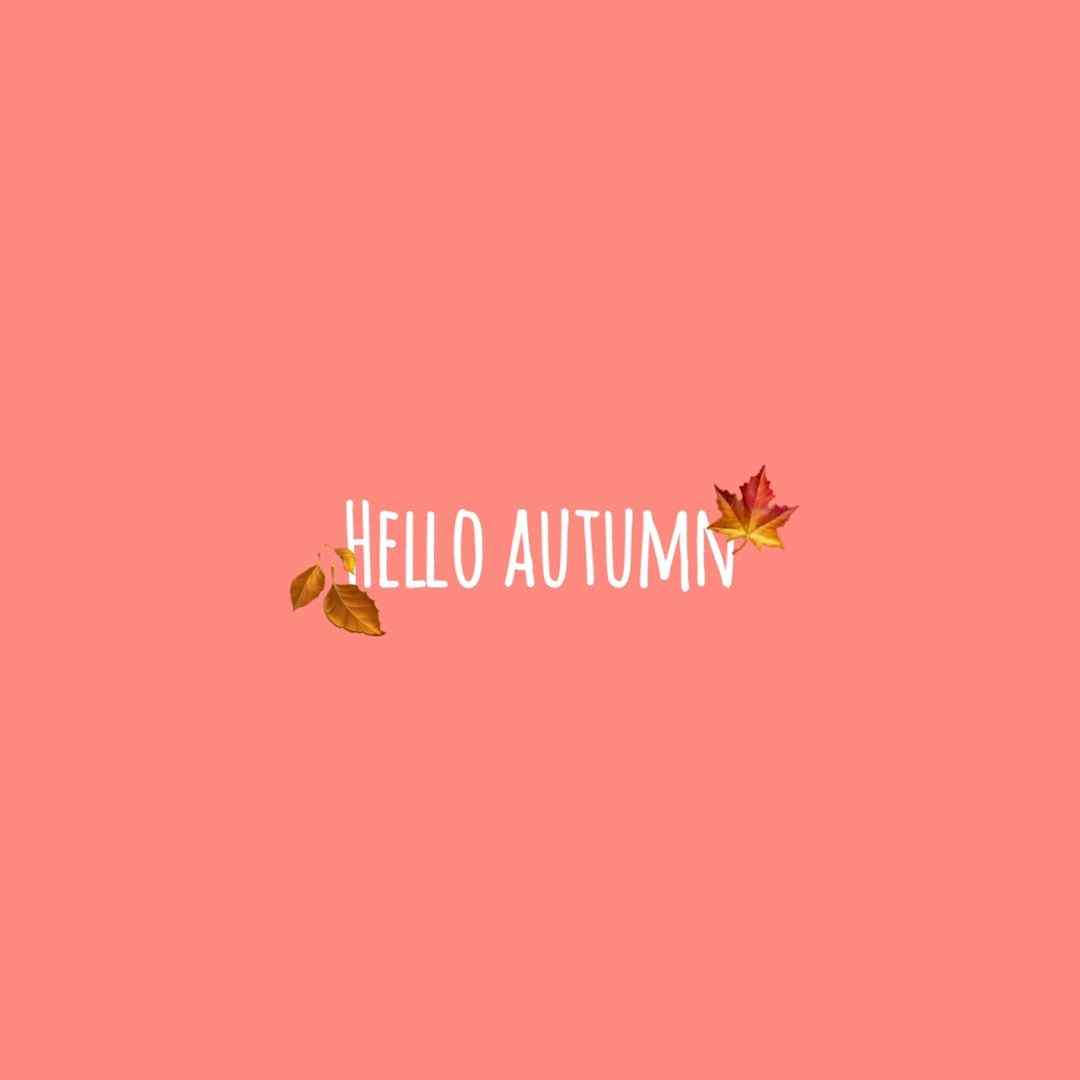 my.autumns