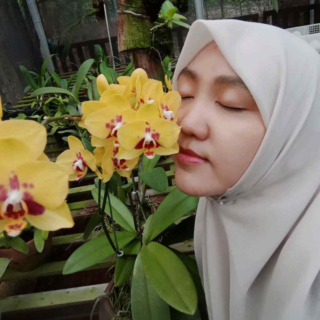 neetaa.kinara