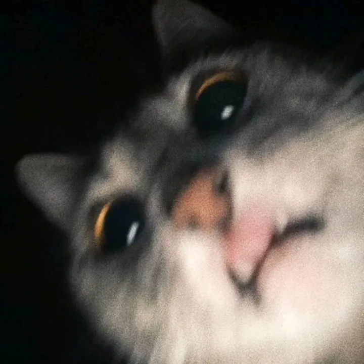 nerrisriski