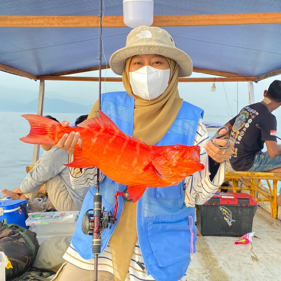 nuruulfajri