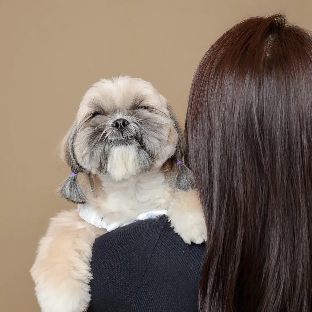 ochieshihtzu