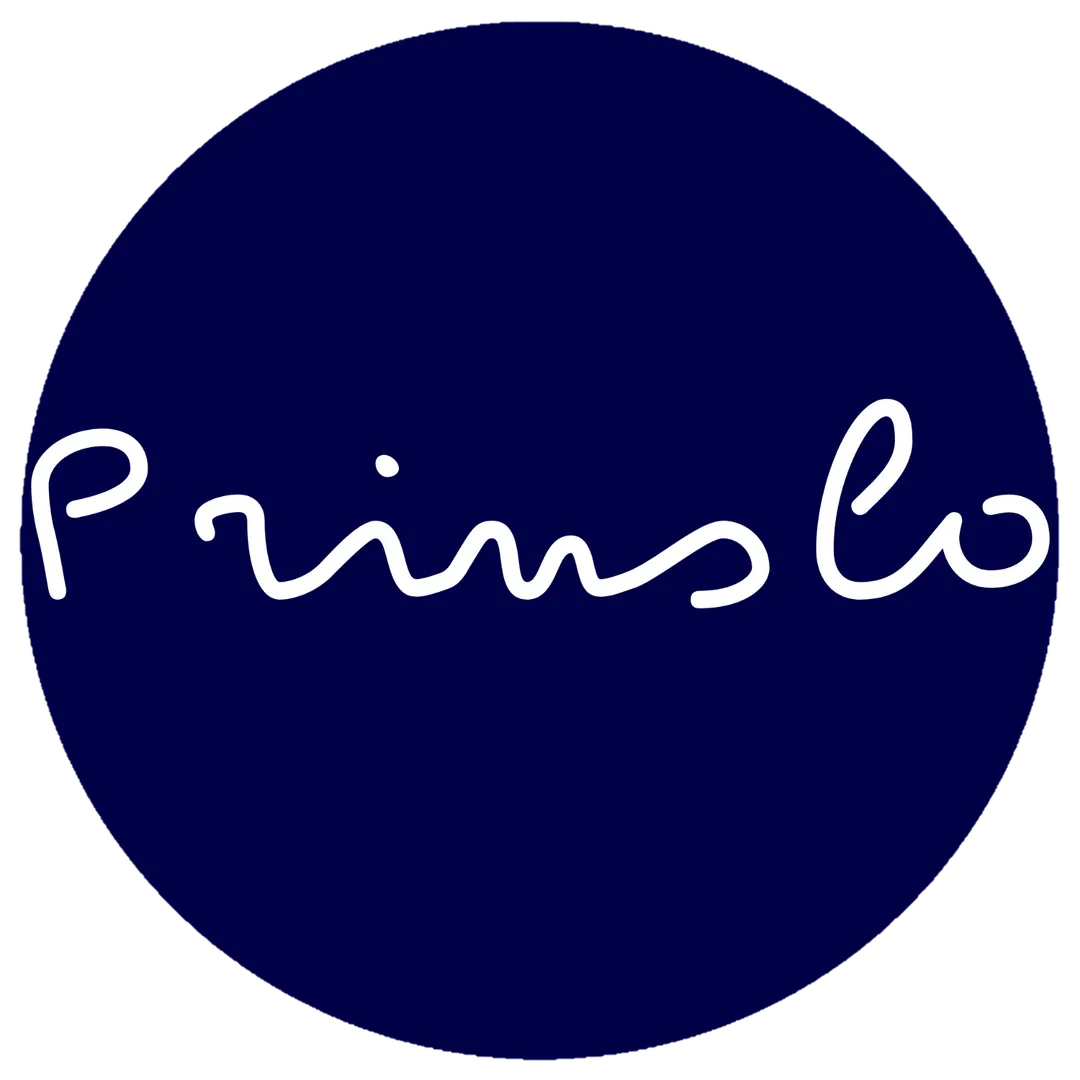prinslo.store