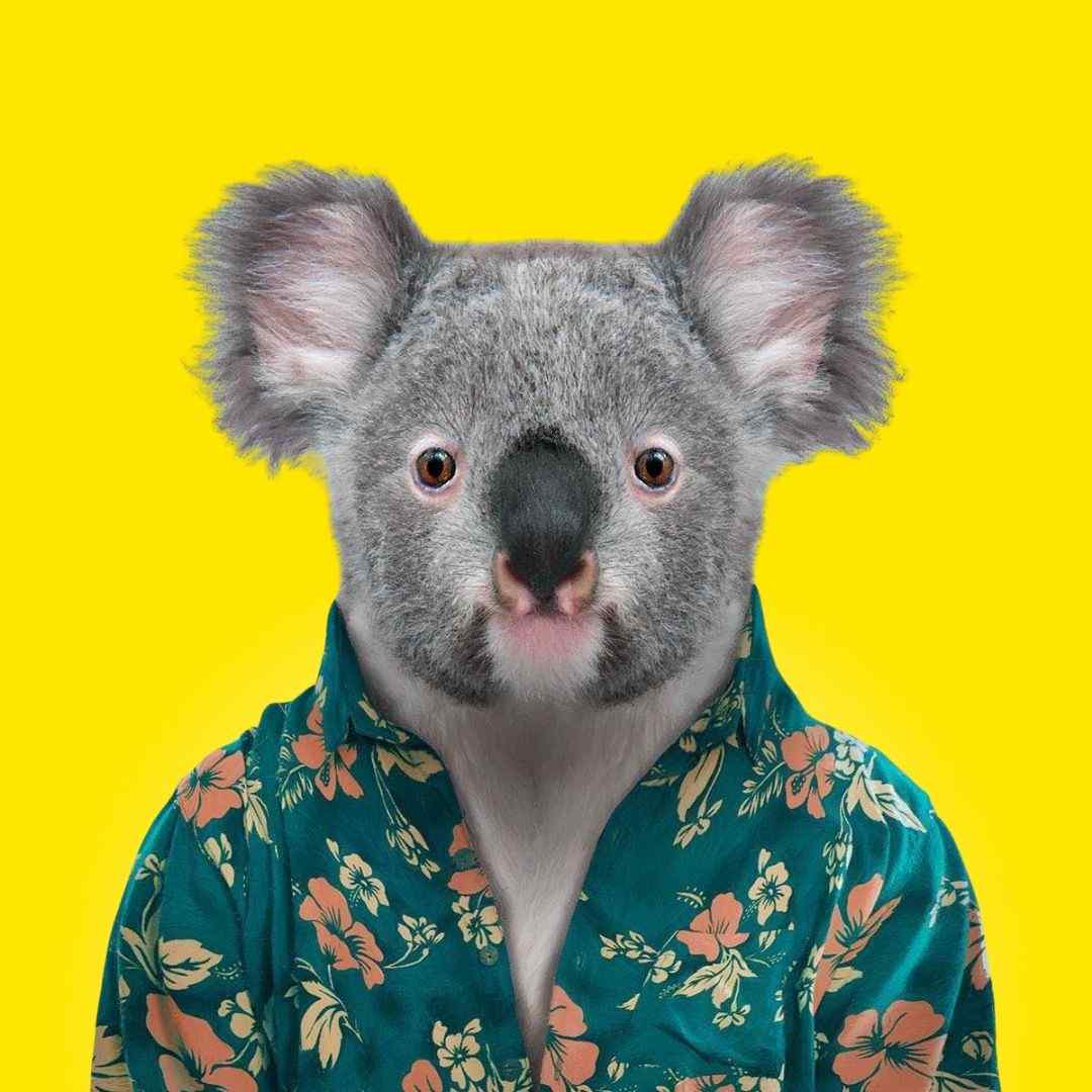 queensland