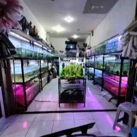 rgaquarium