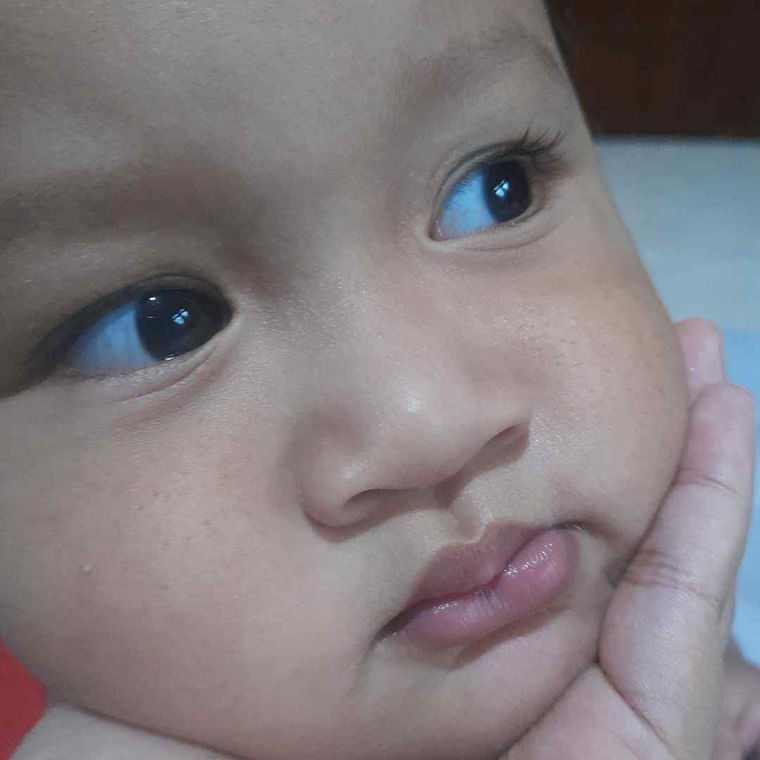 rhyalestarii