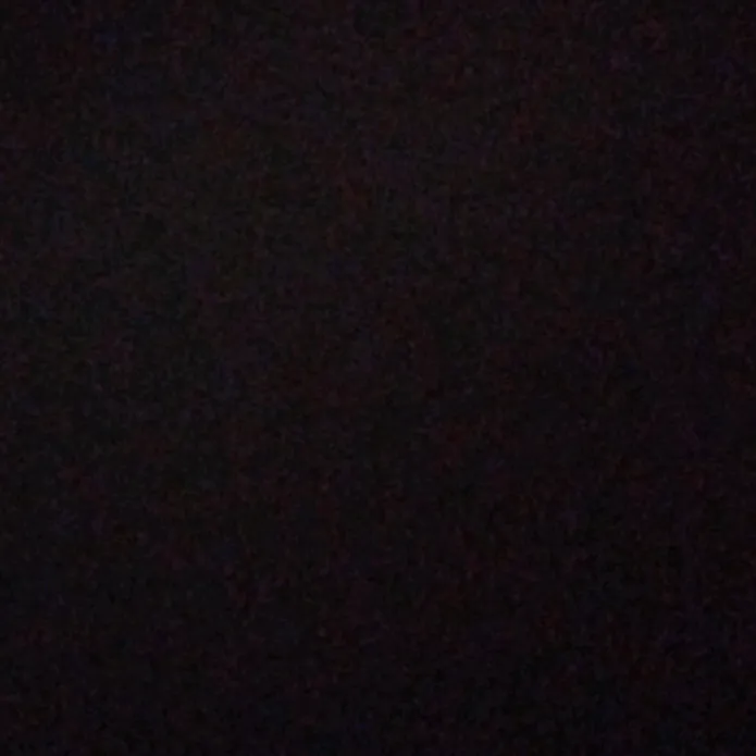 sari_04e