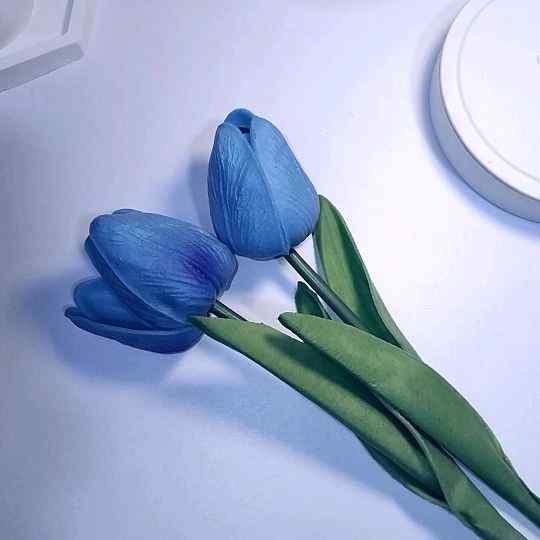 sweetestry